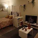 Le Jaude Centre Apartment